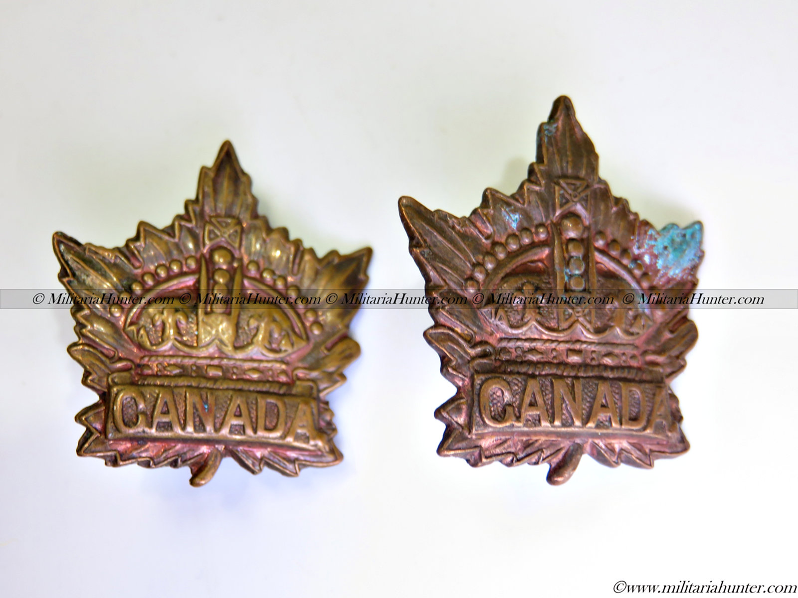 militaria : ww1 CEF maple leaf collar badges pair